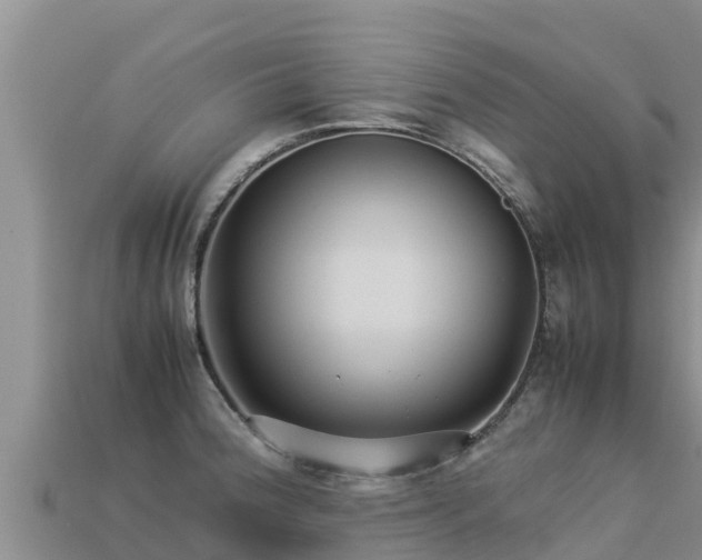 X0000113221188200909171549