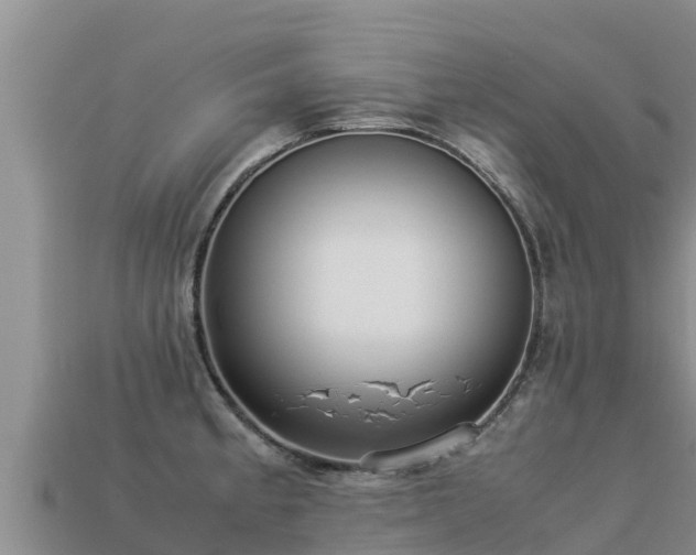 X0000113221189200909171549