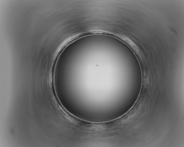 X0000113221191200909171549