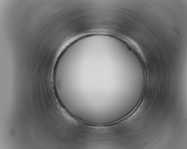 X0000113221192200909171549