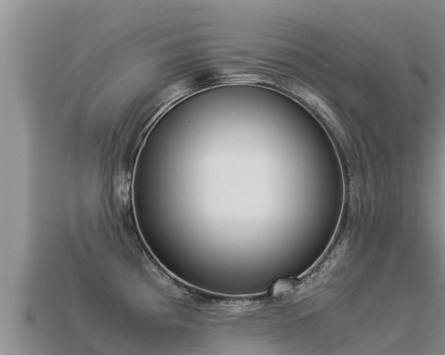 X0000113221193200909171549