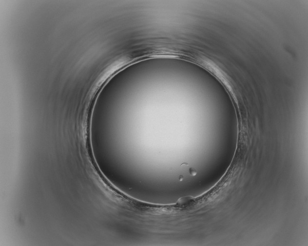 X0000113221195200909171549