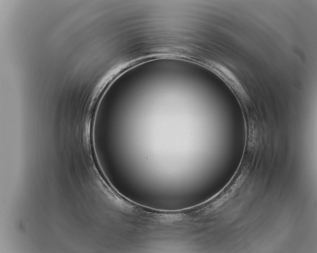 X0000113221196200909171549