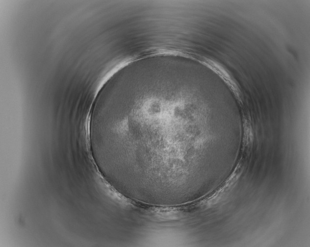 X0000113221198200909171549