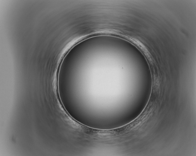 X0000113221199200909171549