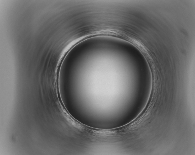 X0000113221200200909171549