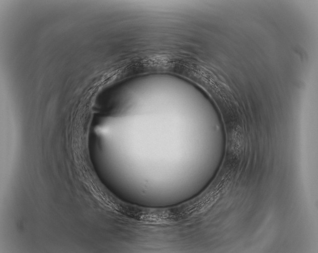 X0000113221201200909171548