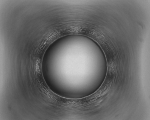 X0000113221202200909171548