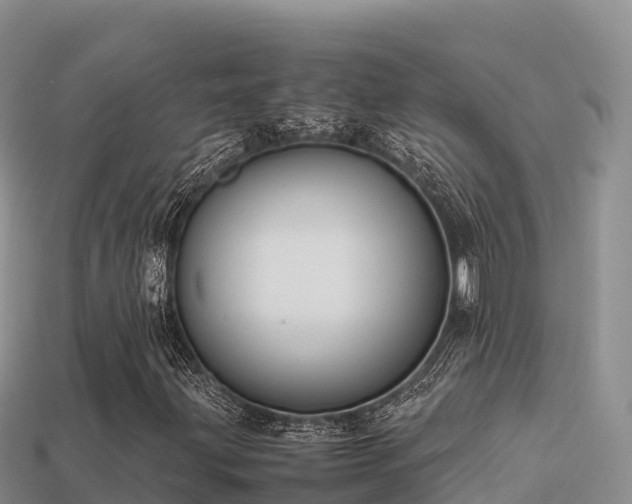 X0000113221203200909171548