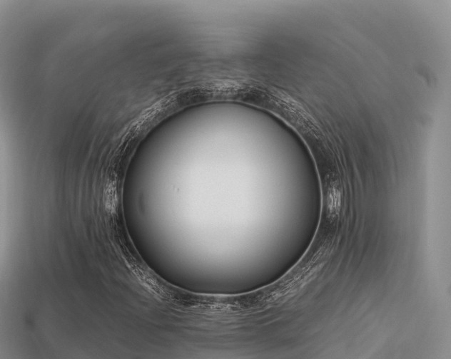 X0000113221204200909171548