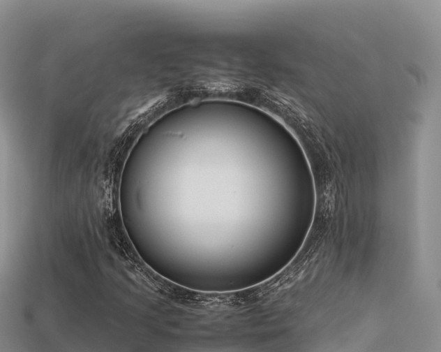 X0000113221205200909171548