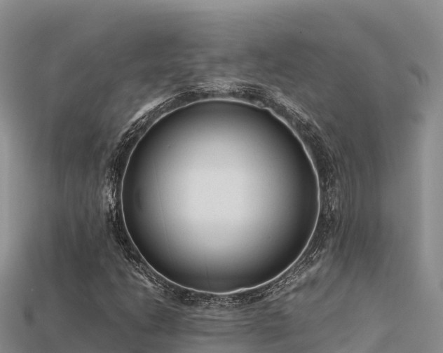 X0000113221206200909171548