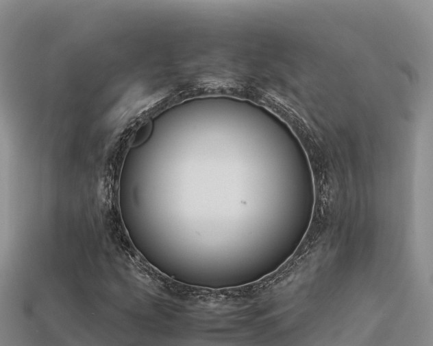 X0000113221207200909171548