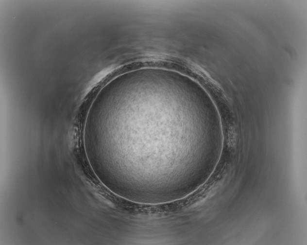 X0000113221208200909171548