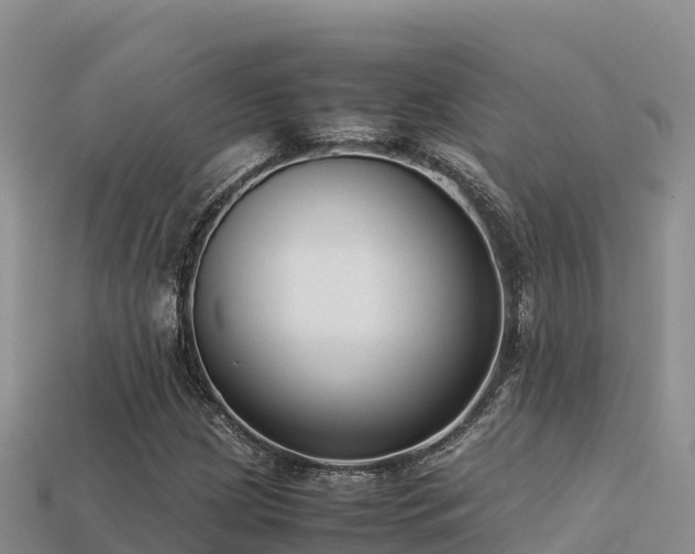 X0000113221209200909171548