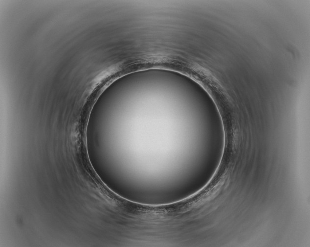 X0000113221210200909171548