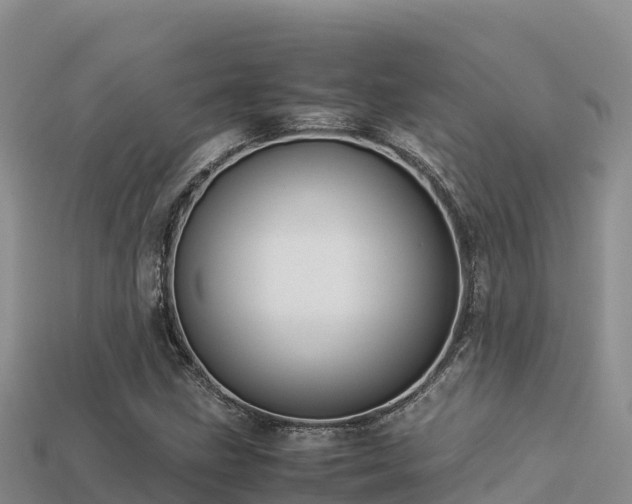 X0000113221211200909171548