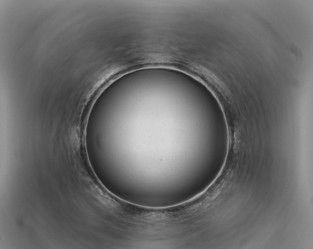 X0000113221212200909171548