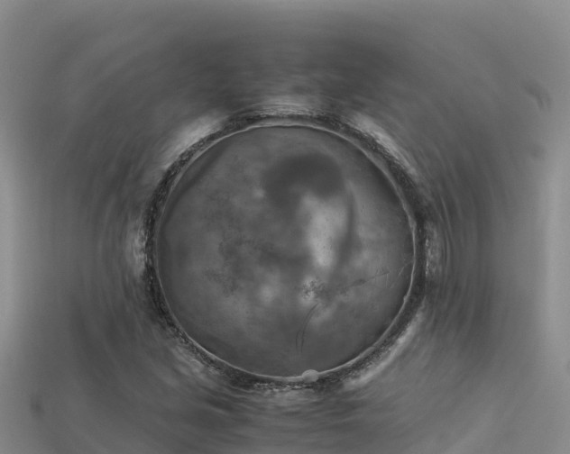 X0000113221213200909171548