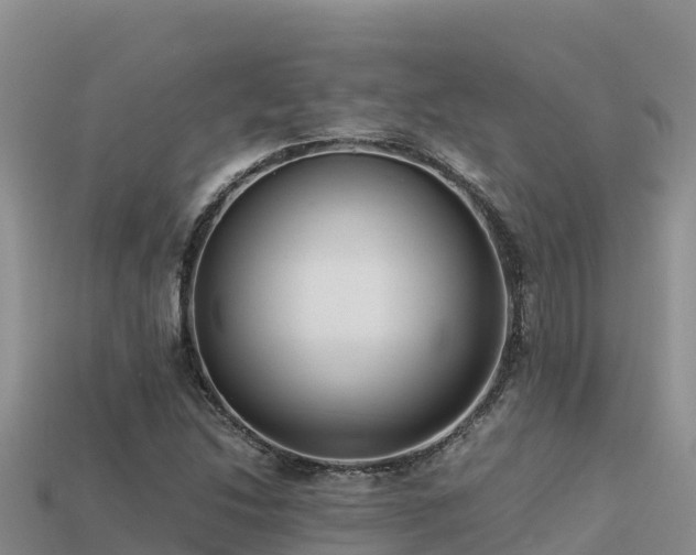 X0000113221214200909171548