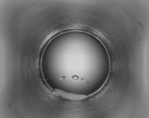 X0000113221216200909171548