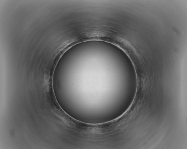 X0000113221217200909171548