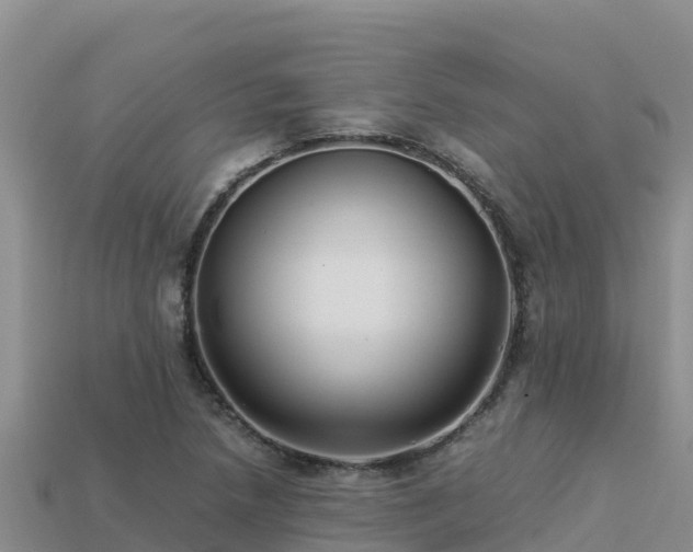 X0000113221218200909171548