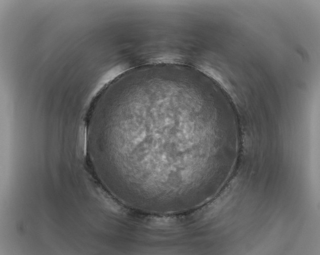 X0000113221219200909171548