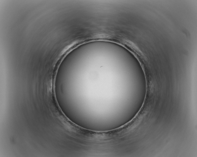 X0000113221220200909171548