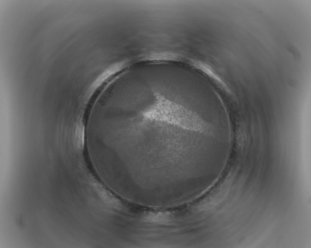 X0000113221221200909171548