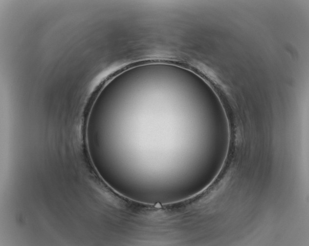 X0000113221222200909171548