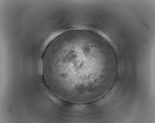 X0000113221223200909171548