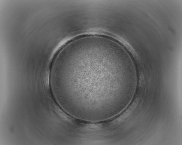 X0000113221224200909171548