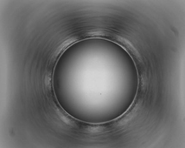 X0000113221225200909171548