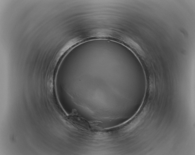 X0000113221226200909171548