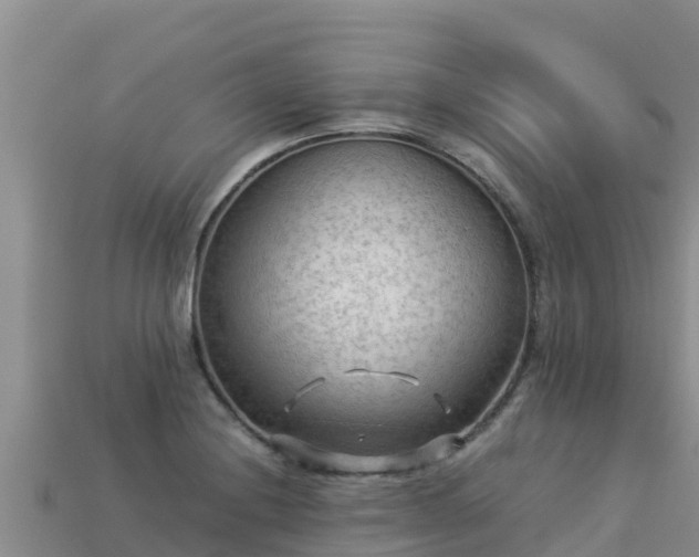 X0000113221228200909171548