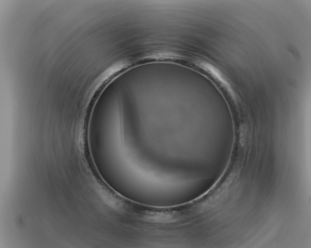 X0000113221229200909171548