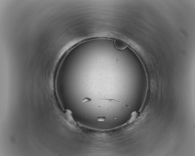 X0000113221230200909171548