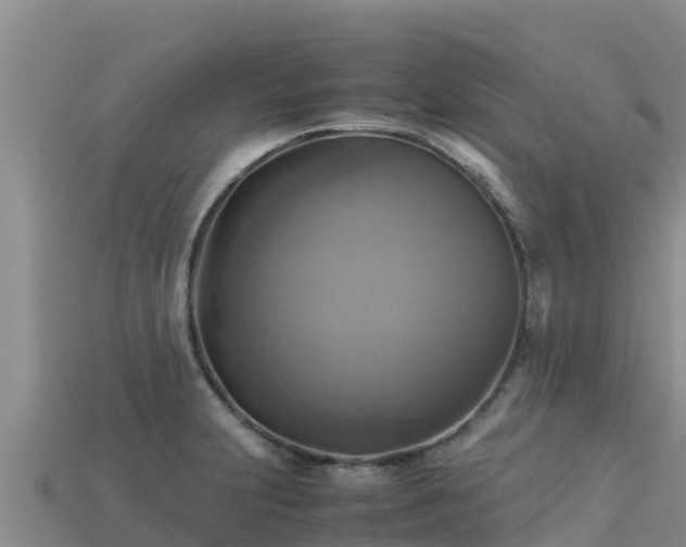 X0000113221231200909171548