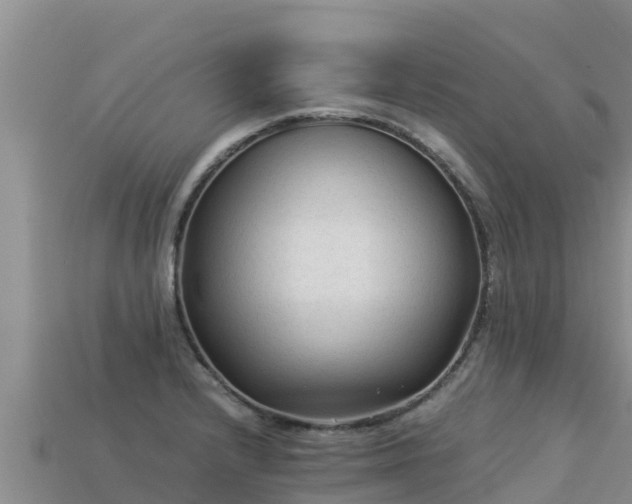 X0000113221232200909171548