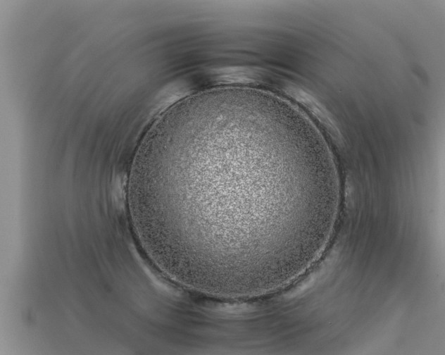 X0000113221233200909171548