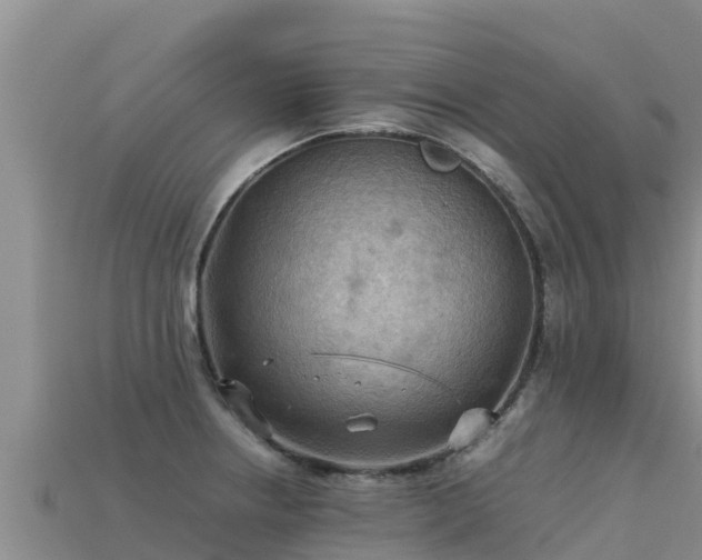 X0000113221234200909171548