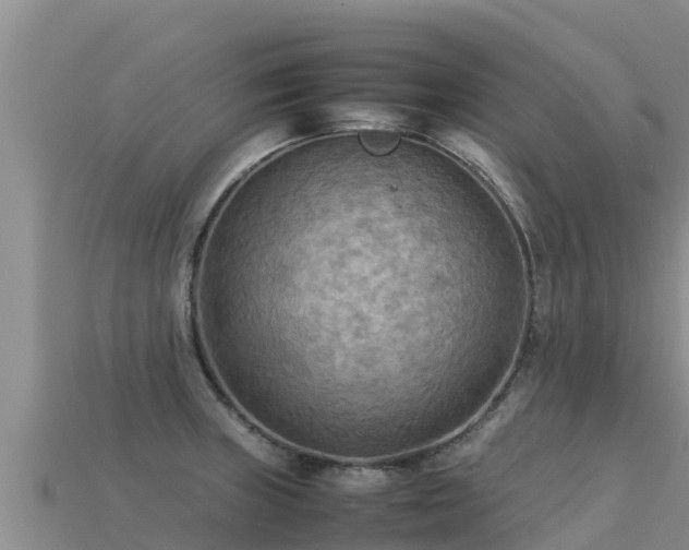 X0000113221235200909171548