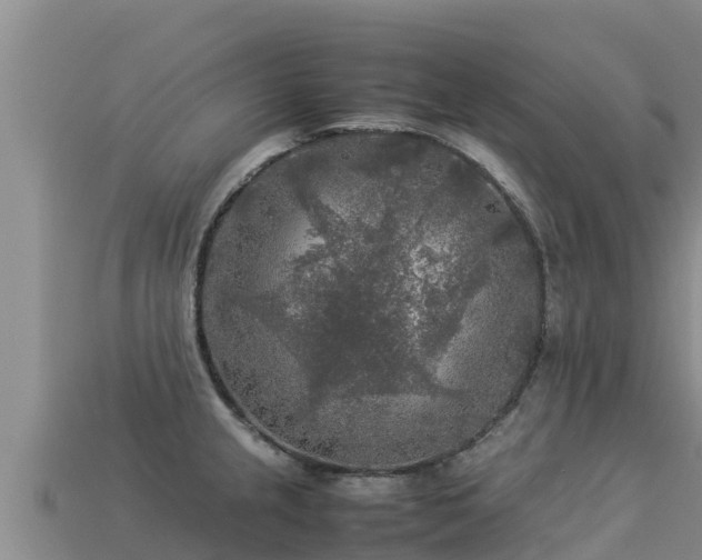 X0000113221237200909171548