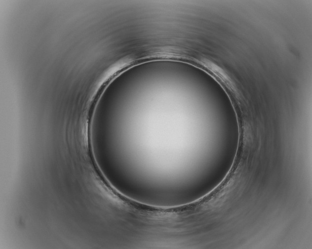 X0000113221238200909171548