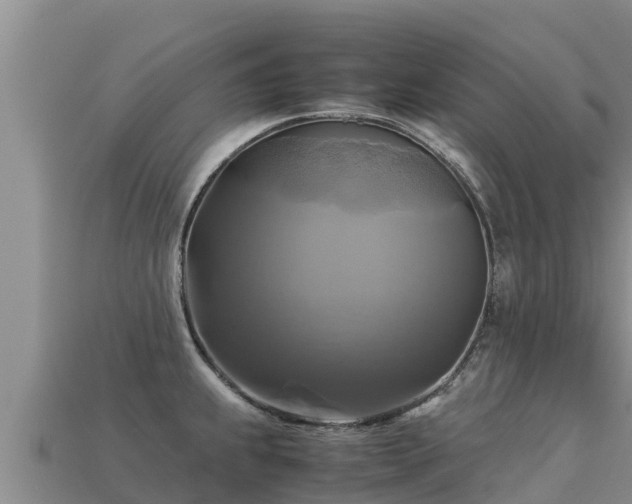 X0000113221239200909171548