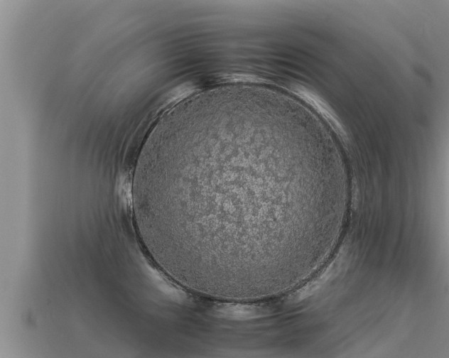 X0000113221241200909171548