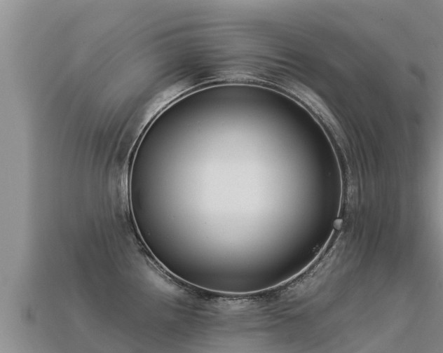 X0000113221242200909171548