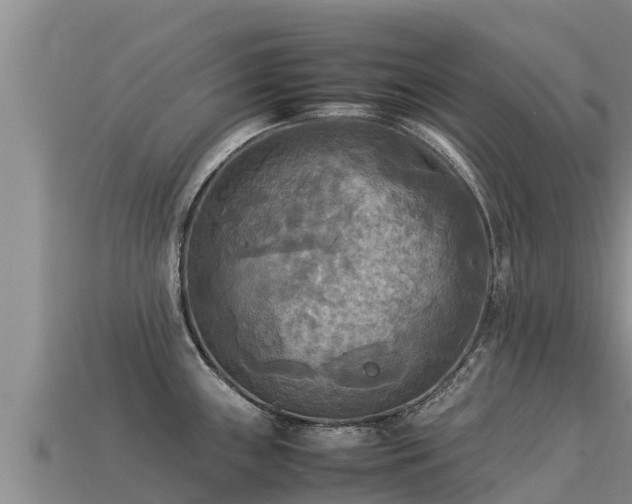 X0000113221243200909171548