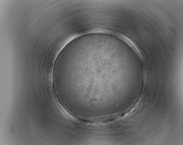 X0000113221244200909171548